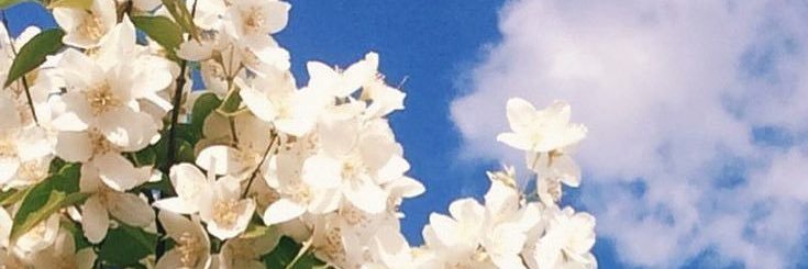 0715thms's profile banner image