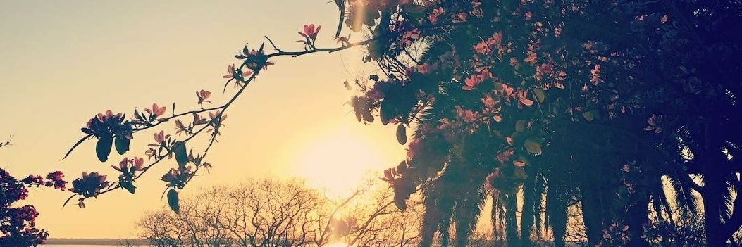 Silvia Saavedra banner