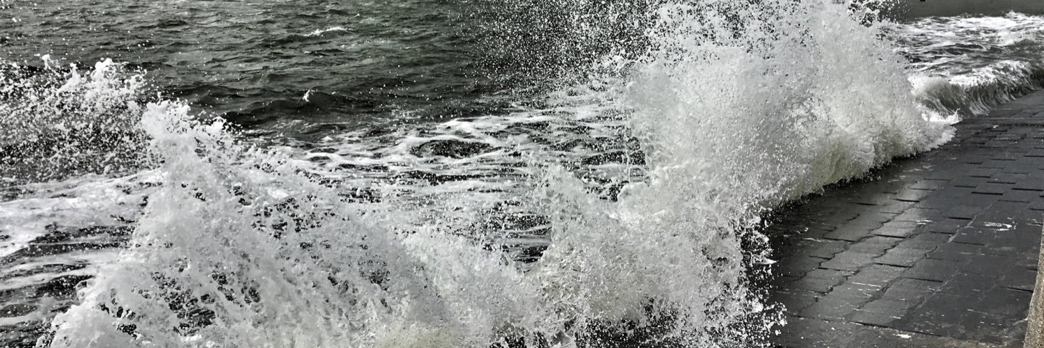 DanielleGridley's profile banner image