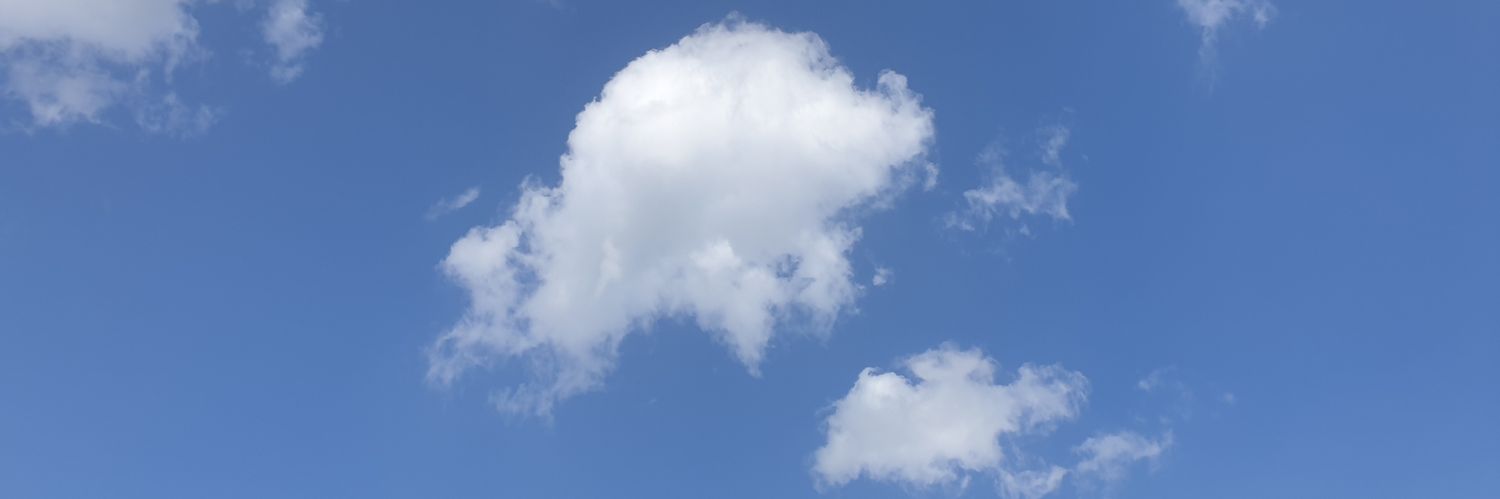 비둘기김밥 (悲絃) banner