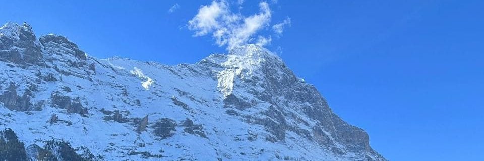Belladam19982's profile banner image