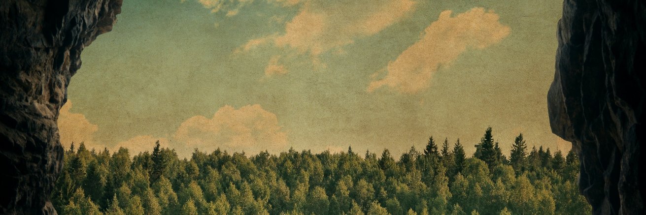 thisisforte's profile banner image