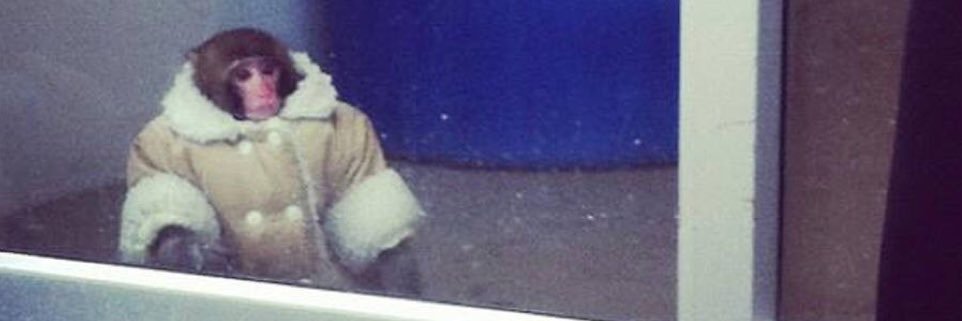 packetofchris's profile banner image