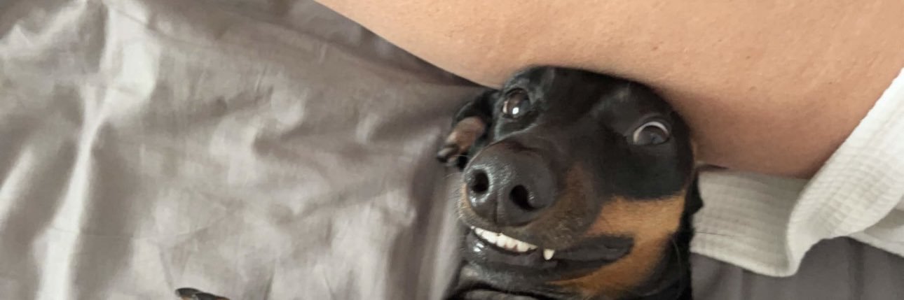 amsrosebrown's profile banner image