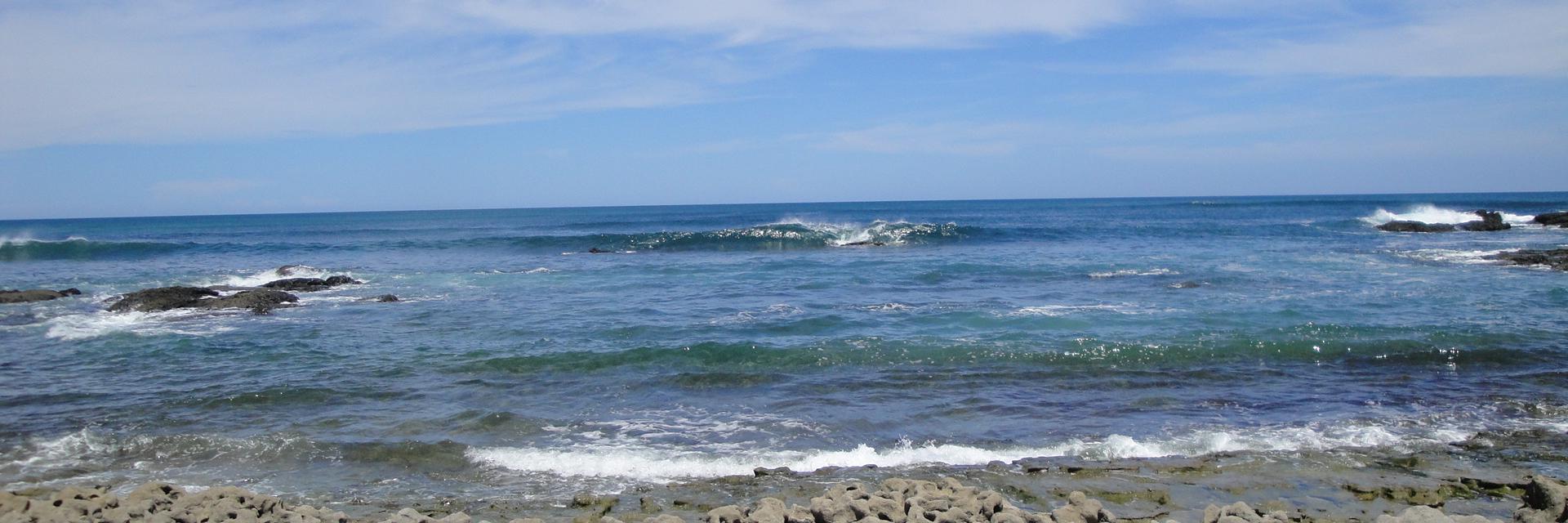 simontamarindo's profile banner image