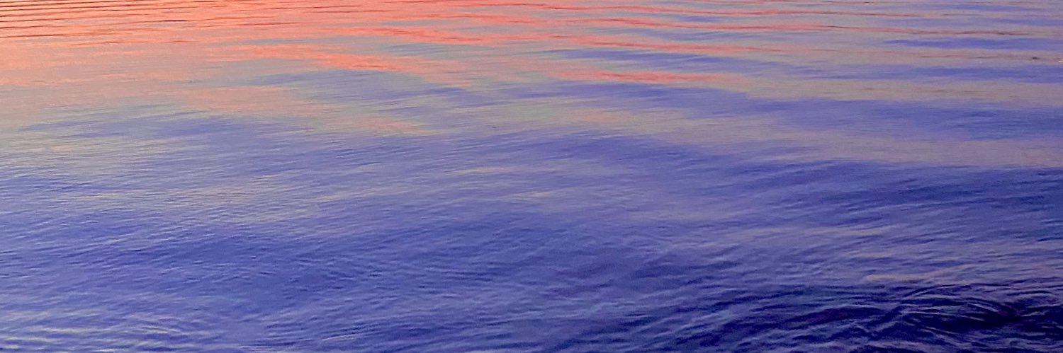 devinkay_'s profile banner image