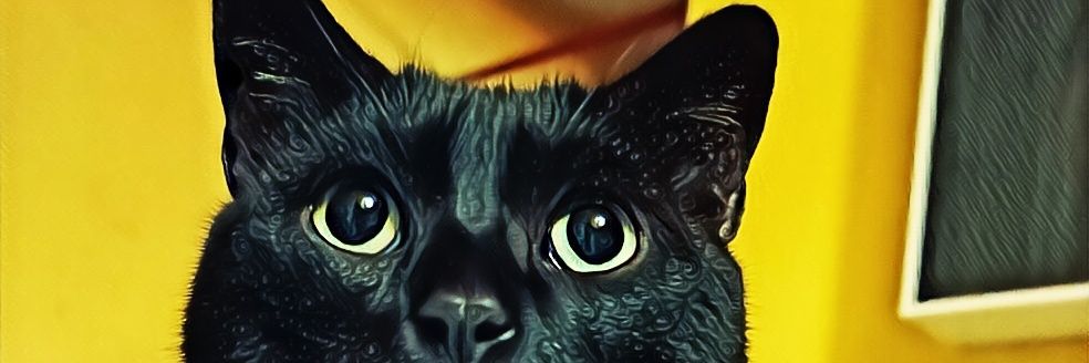 TUPAPIMANOFWAR's profile banner image