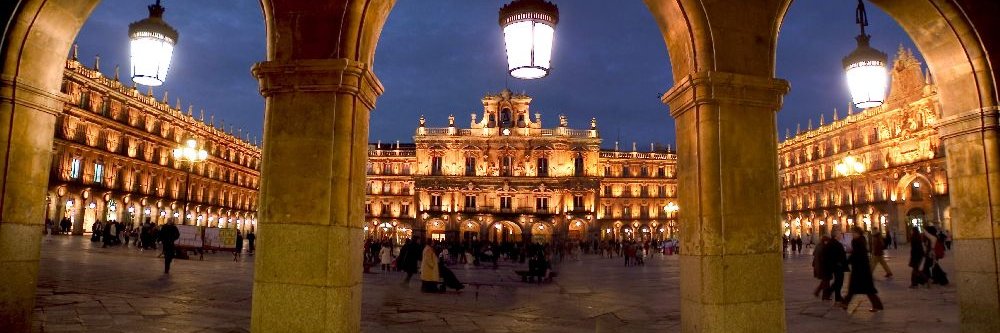 Sandra H. Zelaya banner