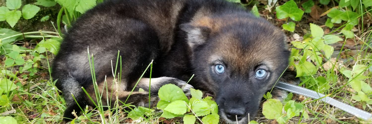 tanner1256's profile banner image