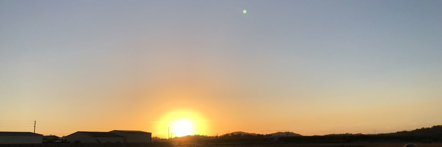 Libby Schwarz banner