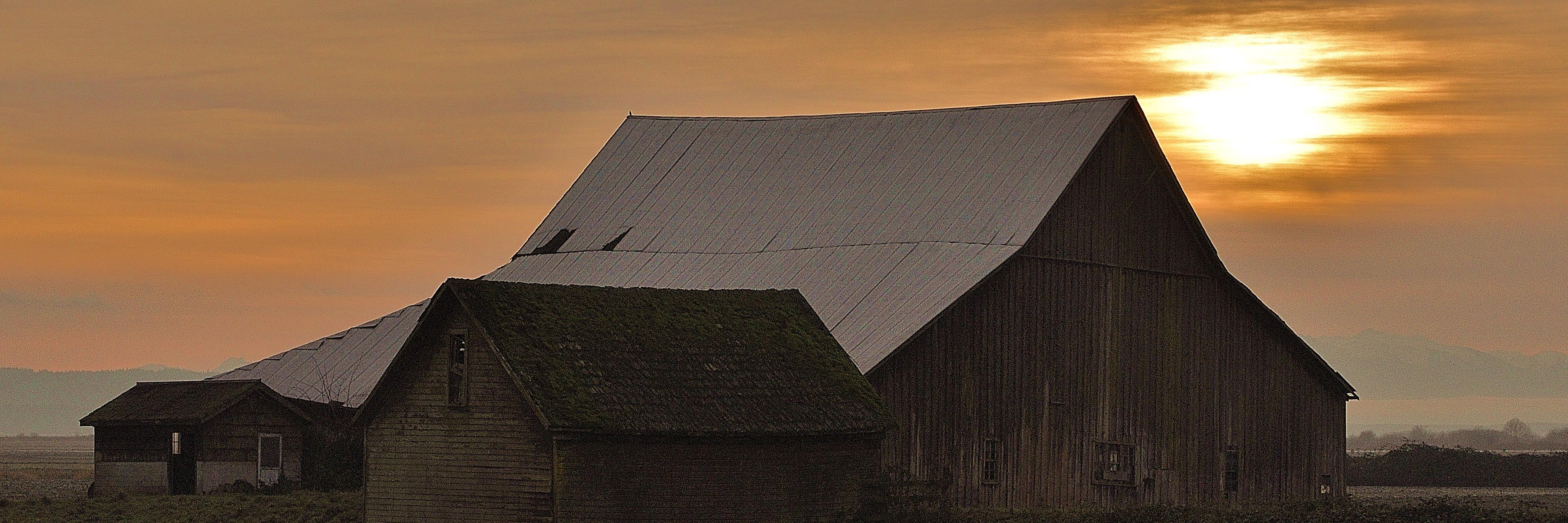 skagitfs's profile banner image
