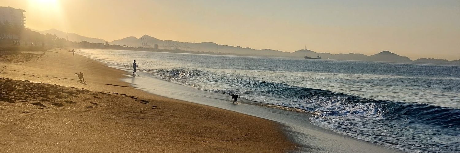ibague82's profile banner image