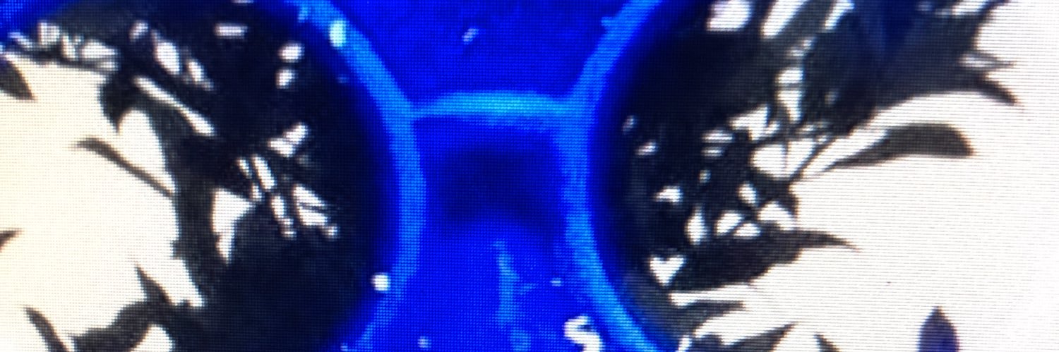 laron simpson banner