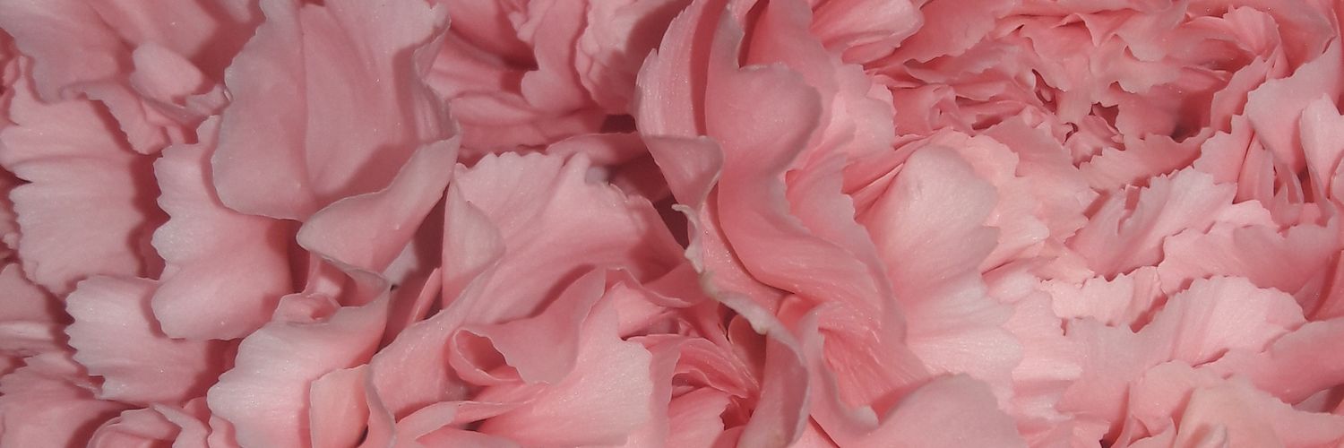 SarahGabrielaF's profile banner image