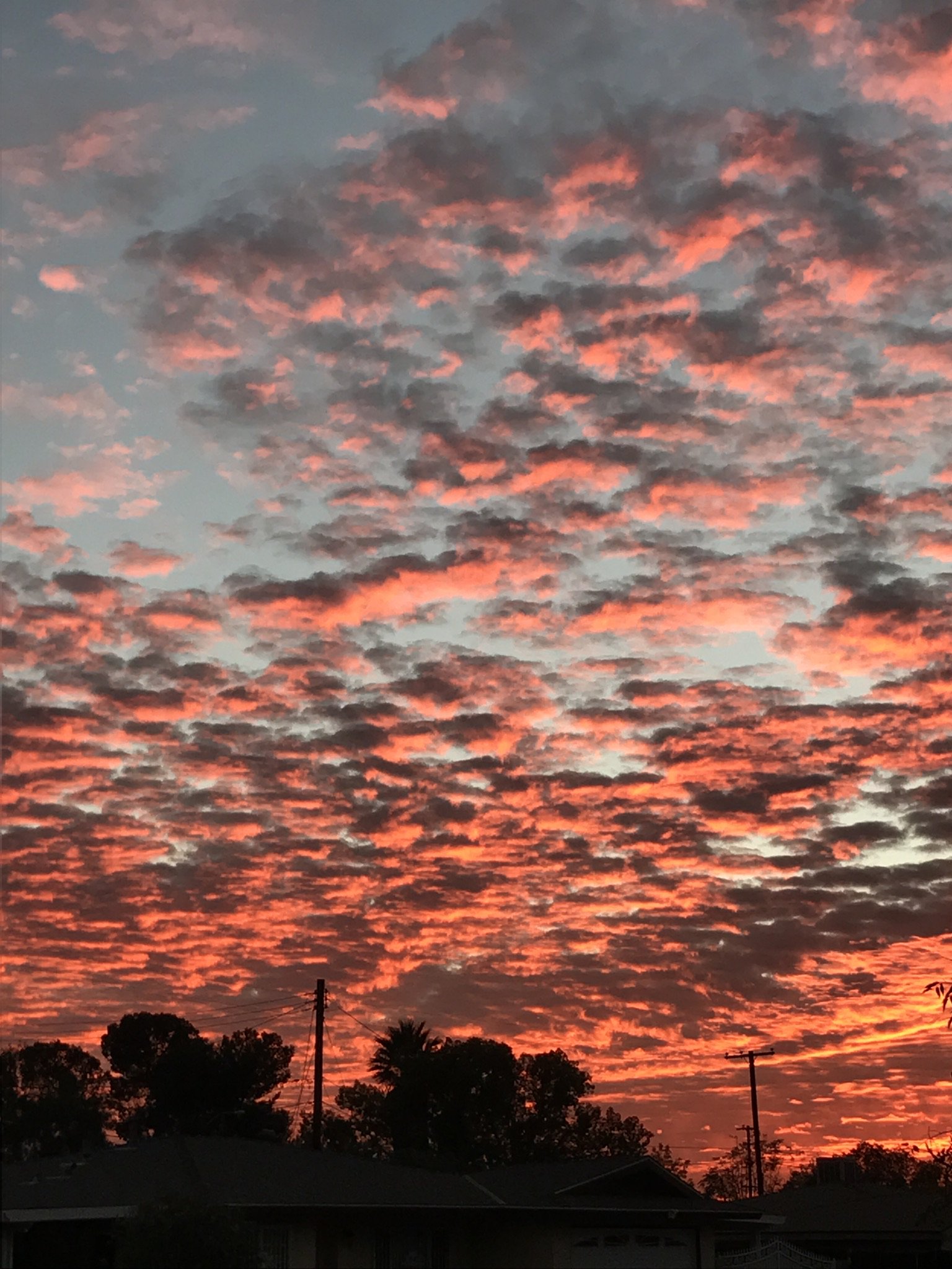 stilldreday's profile banner image