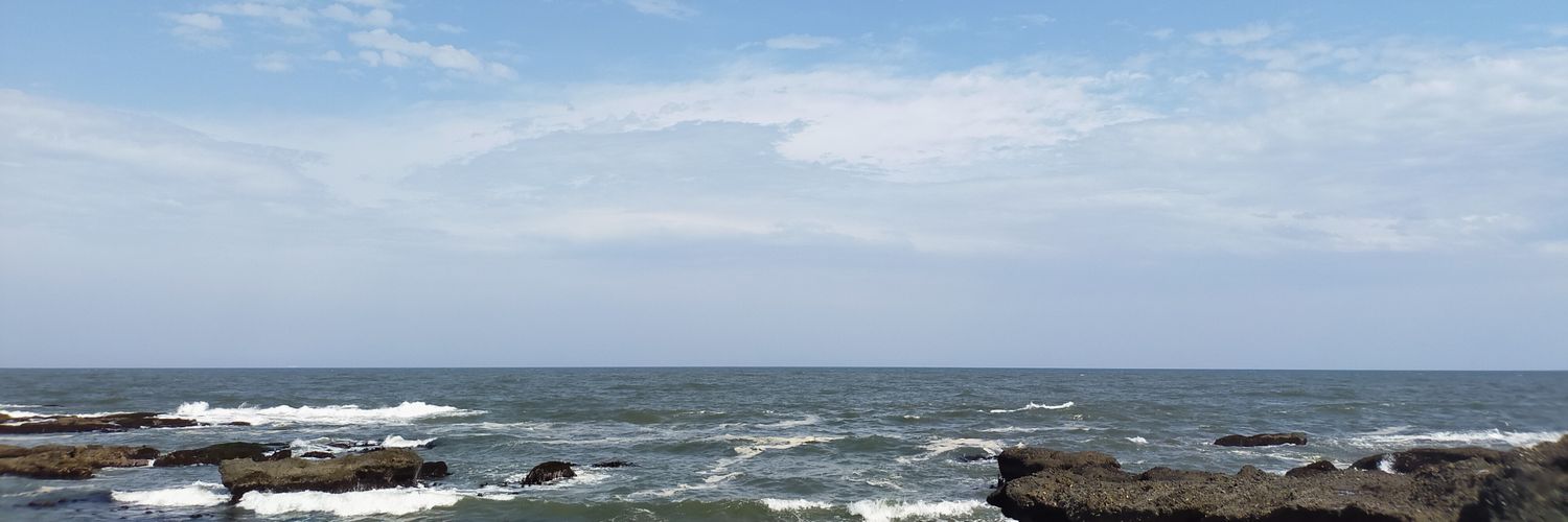 PoryFly_gon2's profile banner image