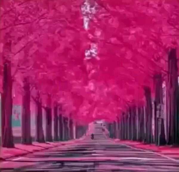 githagitt_'s profile banner image
