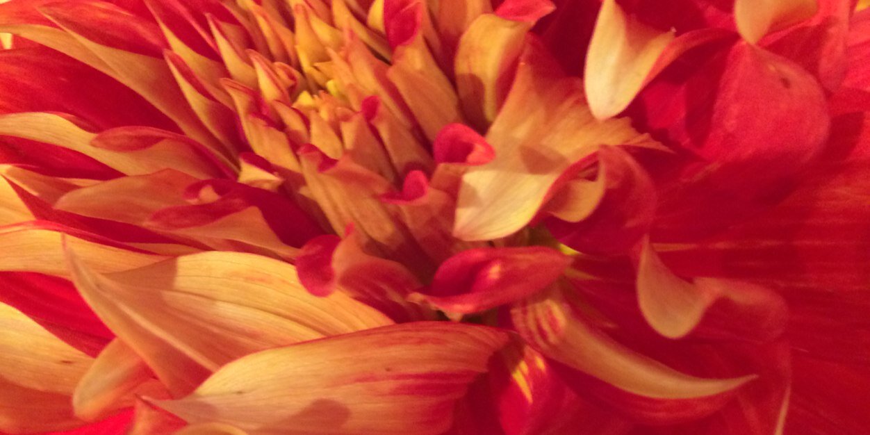 MegglesSays's profile banner image