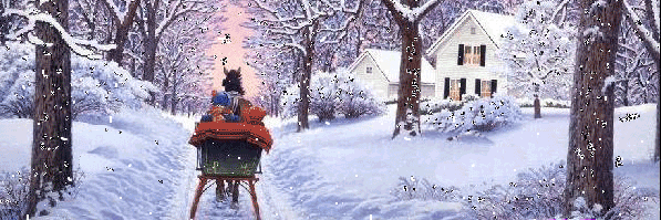 AayseBoz's profile banner image