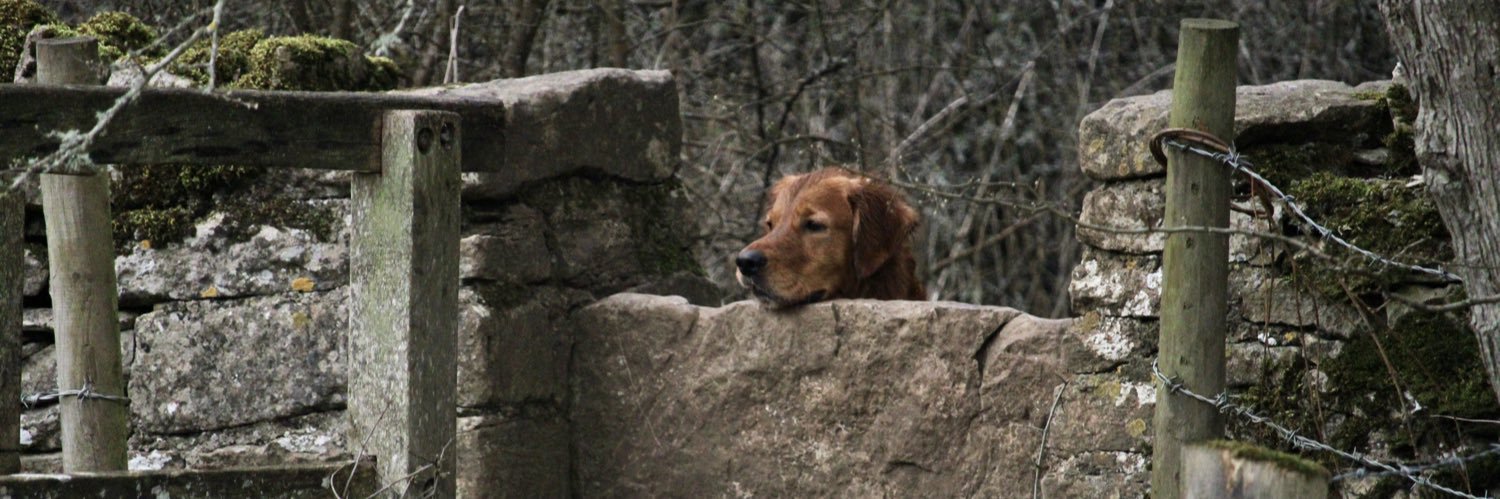 WillPicter10's profile banner image