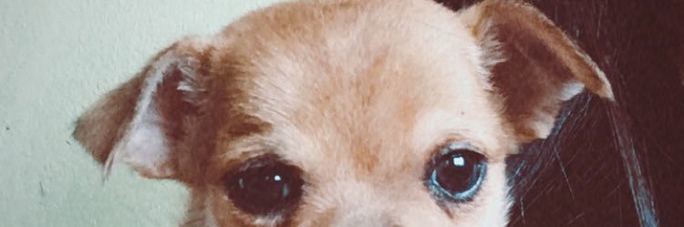 fuzzyblue_362's profile banner image