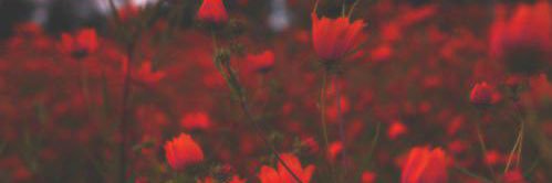 _amyloutaylor's profile banner image