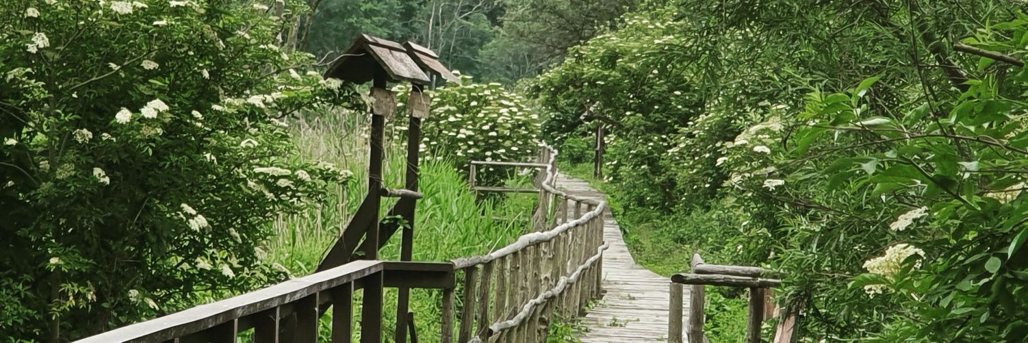 leckertoast's profile banner image