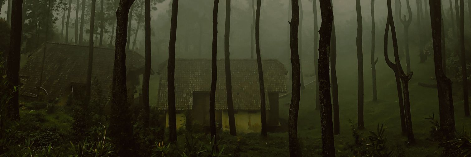 Primrose banner