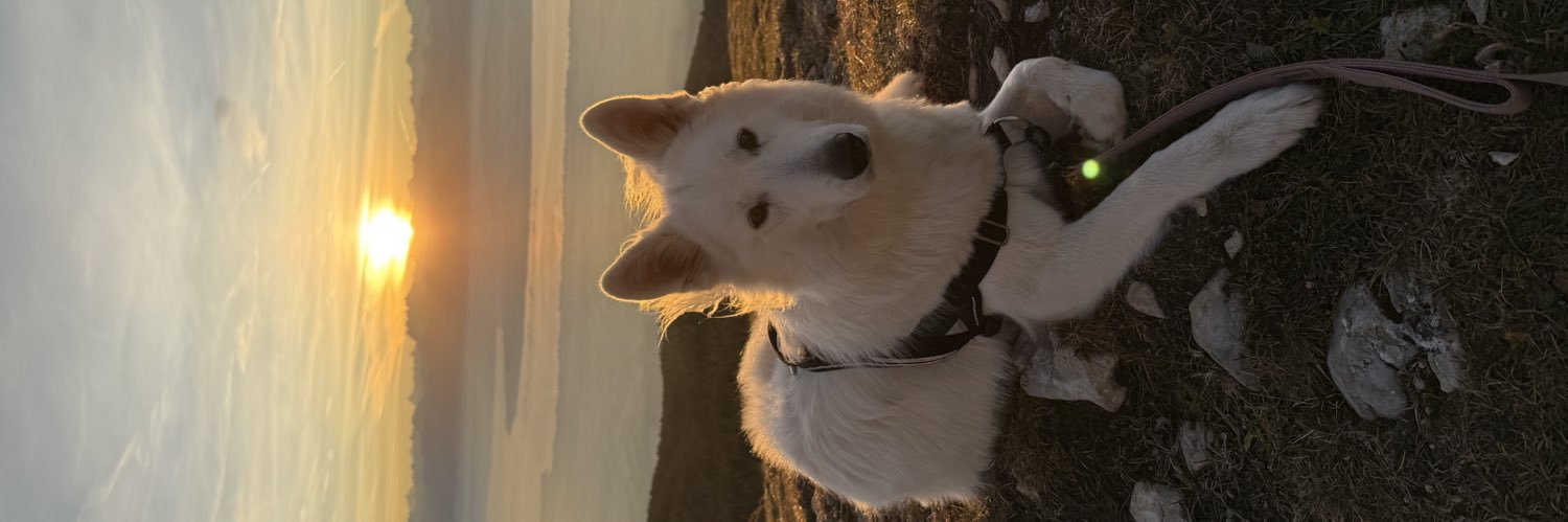 corentincourag1's profile banner image