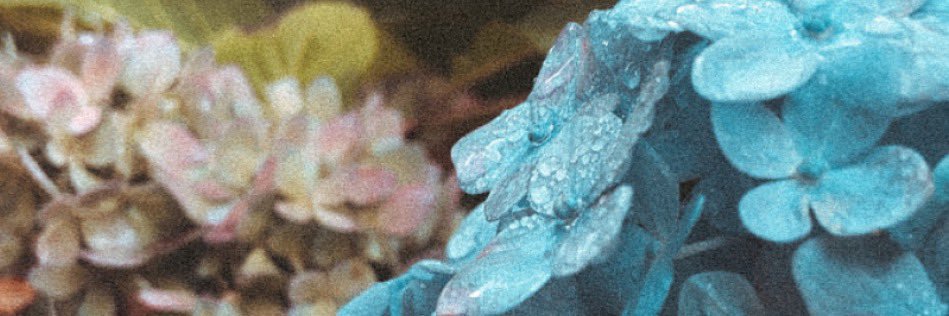 WonTonLee's profile banner image