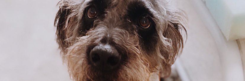 mbroooke_'s profile banner image