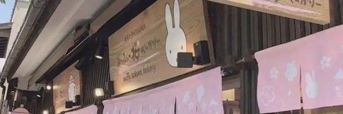 aliecui's profile banner image