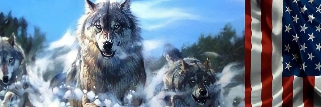 Wayne Highsmith banner