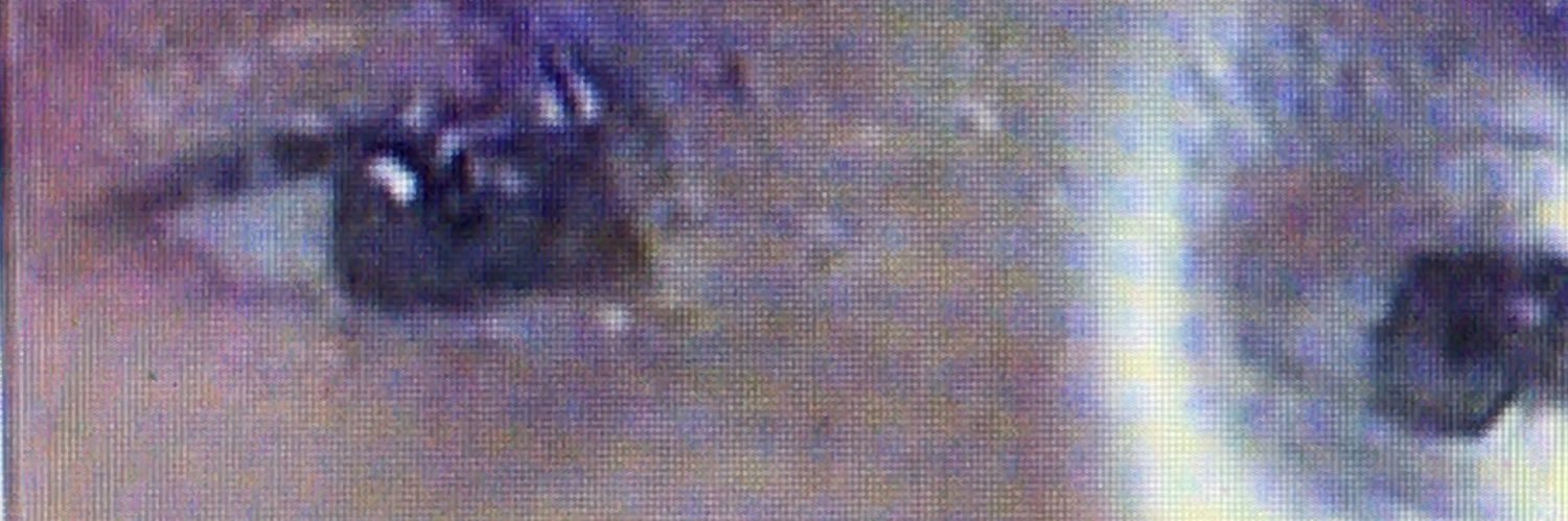 felipepinho1's profile banner image