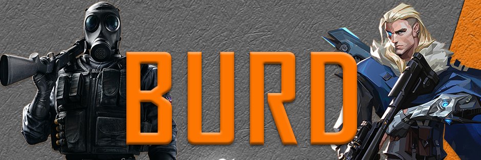 Burdcagecontent's profile banner image