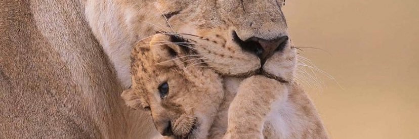 beaucampsevan7's profile banner image