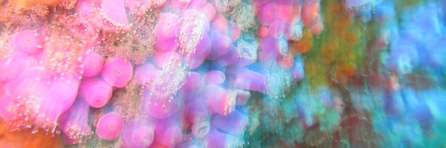 We're following the science banner