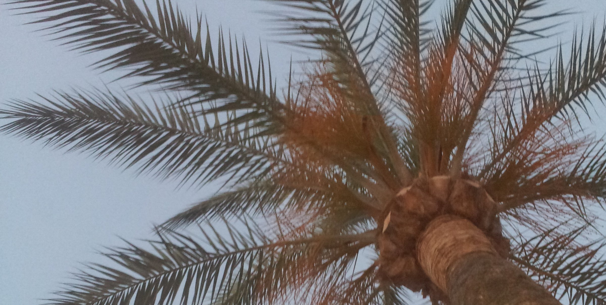 colleenH40's profile banner image