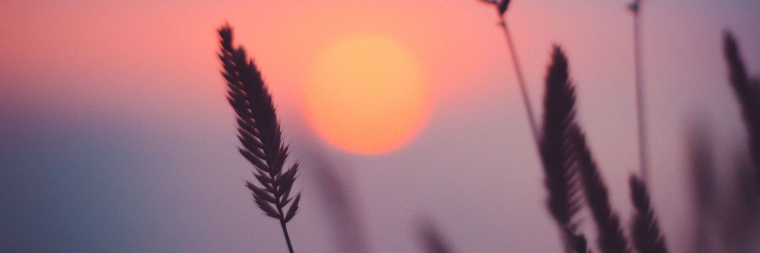 Maru_s42's profile banner image