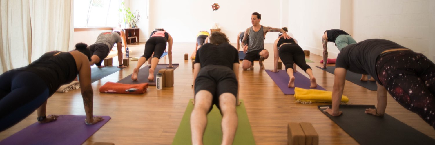 Danni Pomplun banner