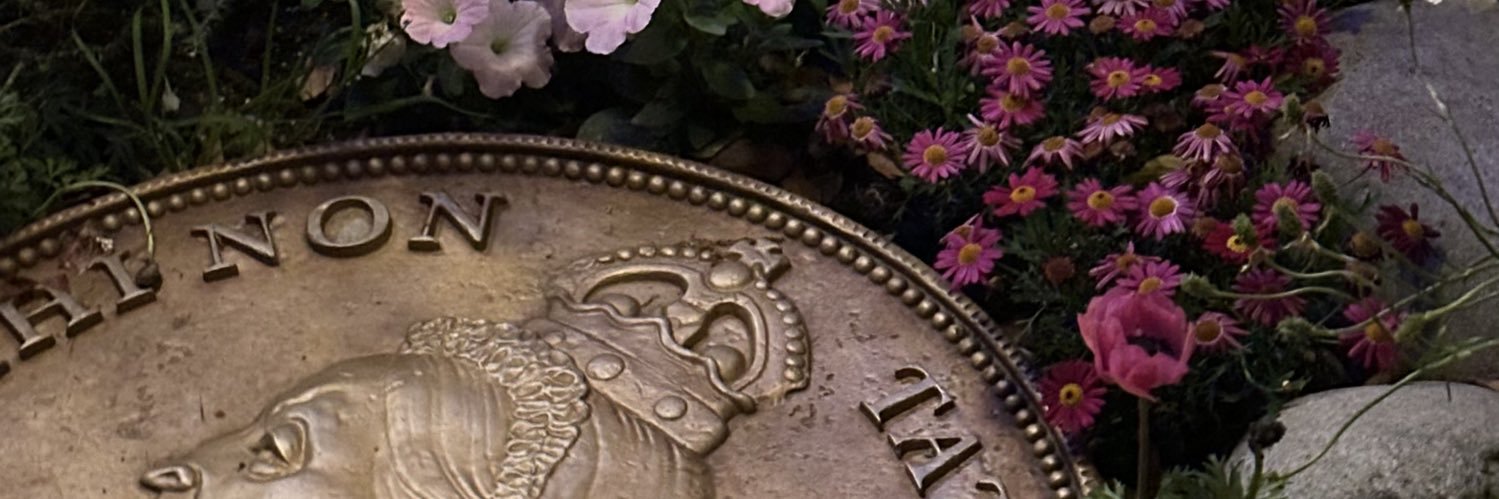 6u6snmg's profile banner image
