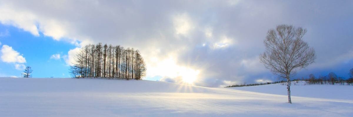 bottch10's profile banner image