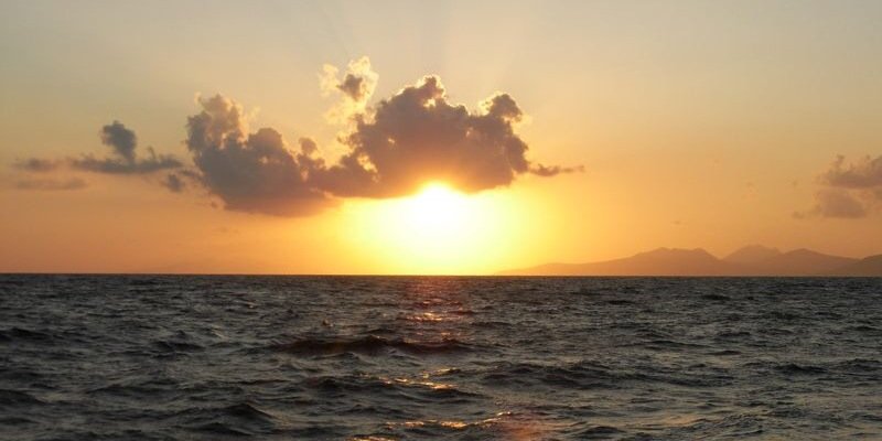 Panos Madamopoulos banner