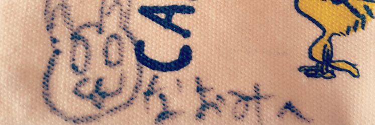 N04Y06's profile banner image