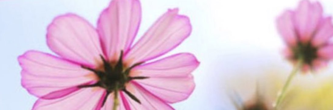 ofooq's profile banner image