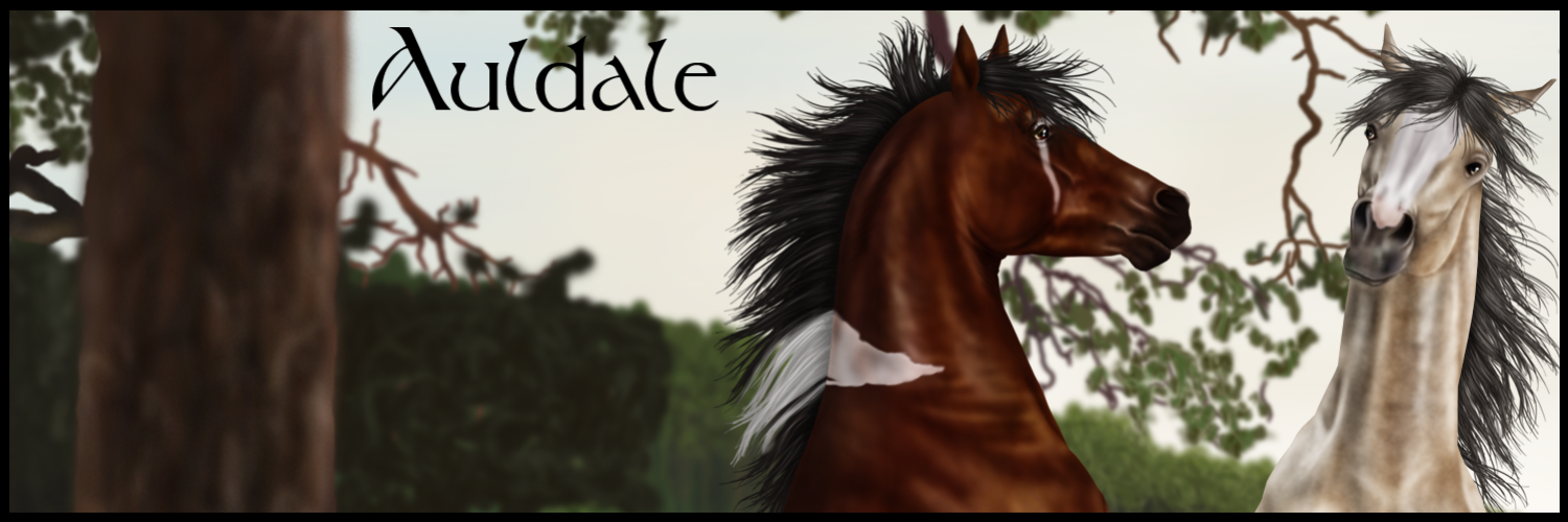 Auldale's profile banner image