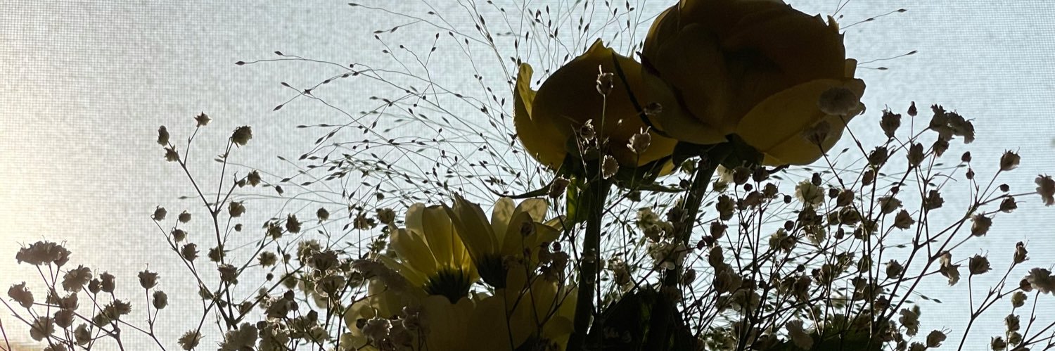annisau_'s profile banner image