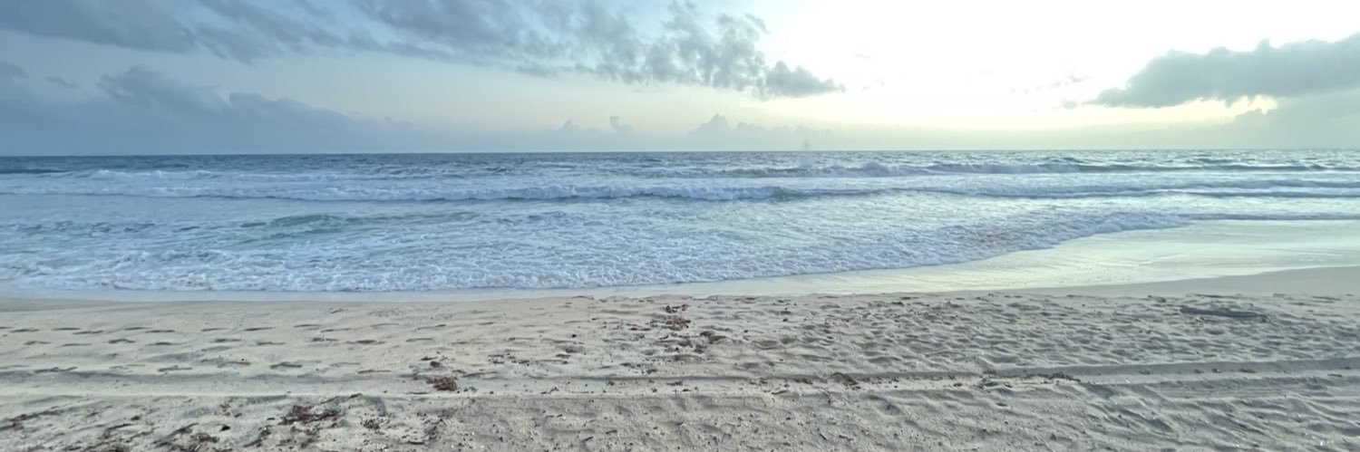 ALEJANDRO MELEAN banner