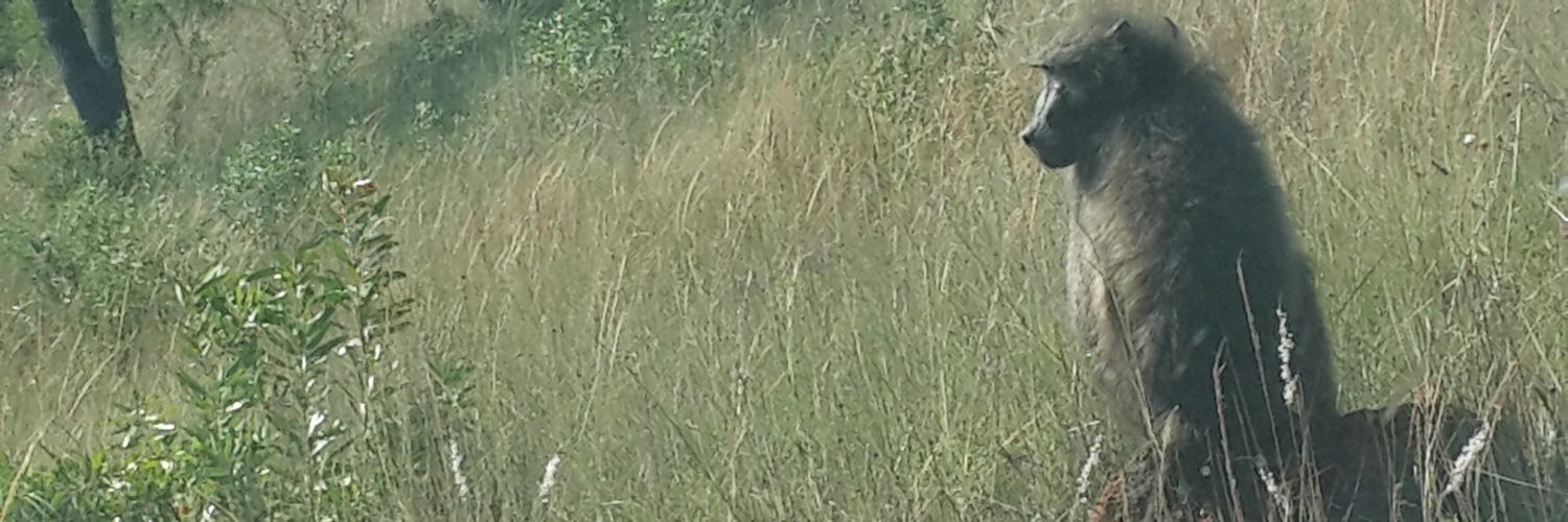 MaggieModipa's profile banner image