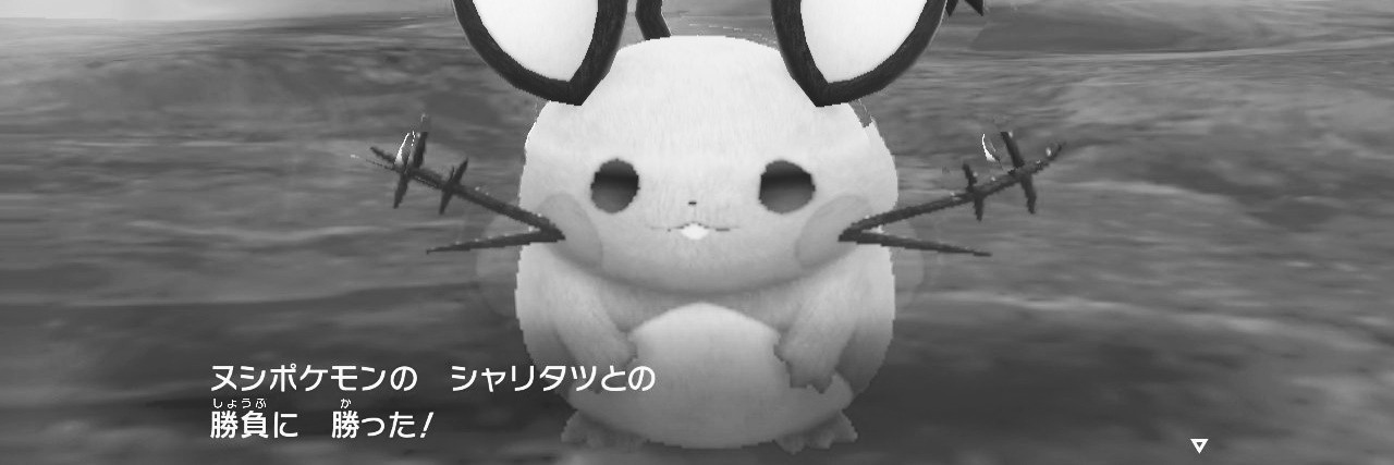 supicchi09's profile banner image